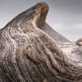 Der Stille Schrei von Axel Ellerhorst