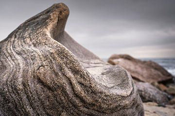 The Silent Scream by Axel Ellerhorst