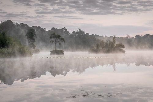 Dutch landscape