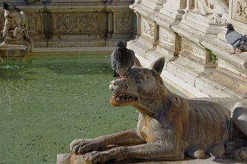Sculpture of a she-wolf at Fonte Gaia in Siena by Berthold Werner