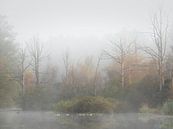 de Zeezuiper in de mist van Jolanda de Leeuw thumbnail