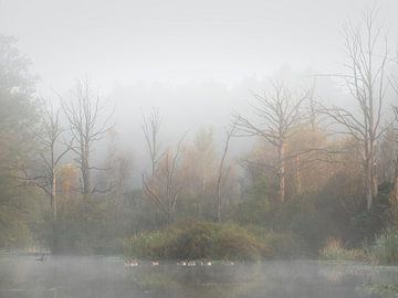 The Seasucker in the fog by Jolanda de Leeuw