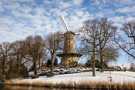 Die Mühle von Piet von Dick Portegies