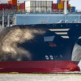 Kurs voraus – Bugmoment von Sabine Wagner