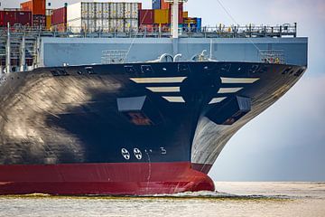 Course ahead - bow moment by Sabine Wagner