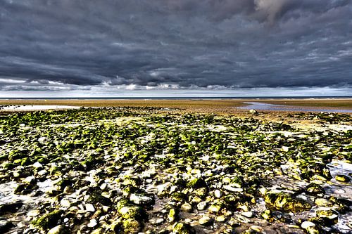 Omaha Beach Normandie