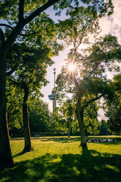Euromast door de bomen van Het Park van Lolke Bergsma