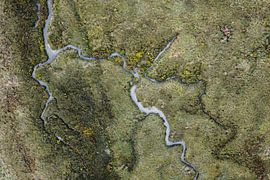 Abstract by nature van Linda Raaphorst