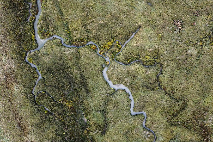 Abstract by nature by Linda Raaphorst