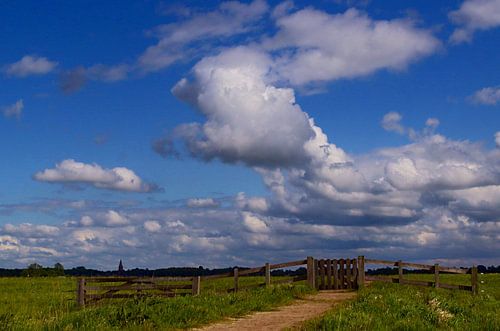 Natuurgebied 't Roegwold