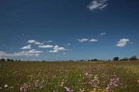 Bloemenpracht en wolken by By Foto Joukje thumbnail