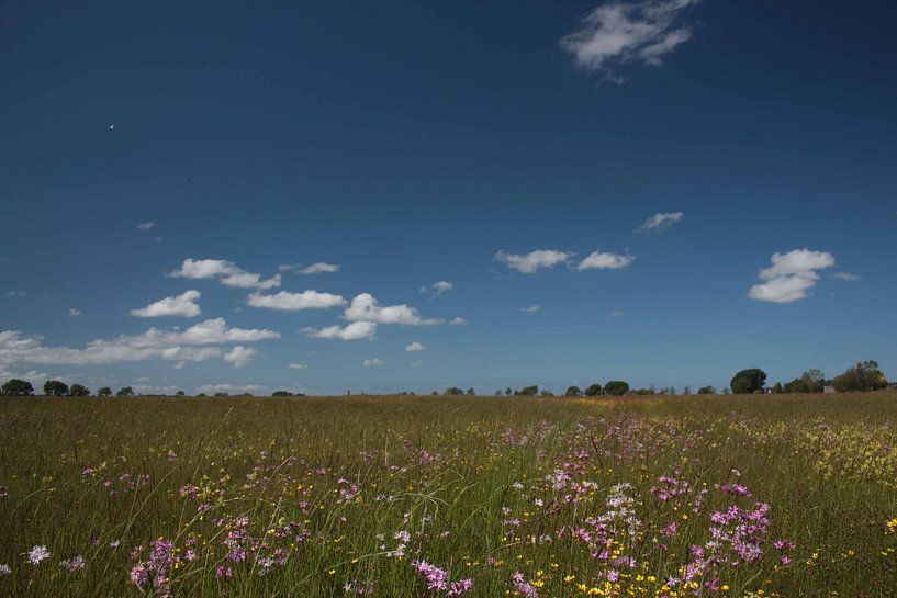 Bloemenpracht en wolken by By Foto Joukje