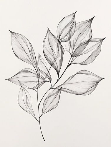 Feuilles botaniques délicates en dessin au trait