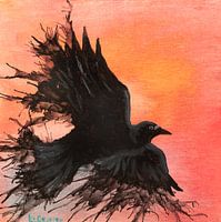 evening flight