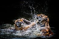 Deux tigres par Günter Albers Aperçu