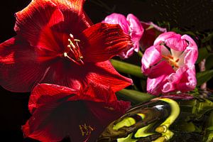 bunte Blumen