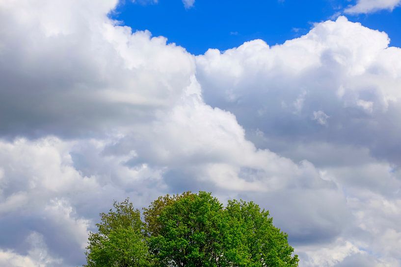 Sky Wide by Thomas Jäger