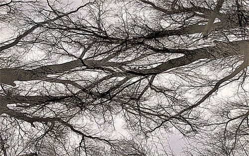 Poem of nature