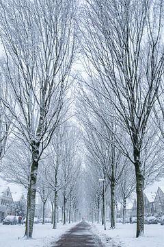 pad onder de sneeuw