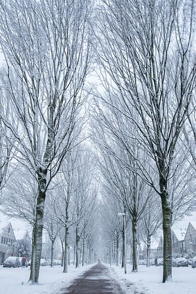 chemin enneigé par Robinotof