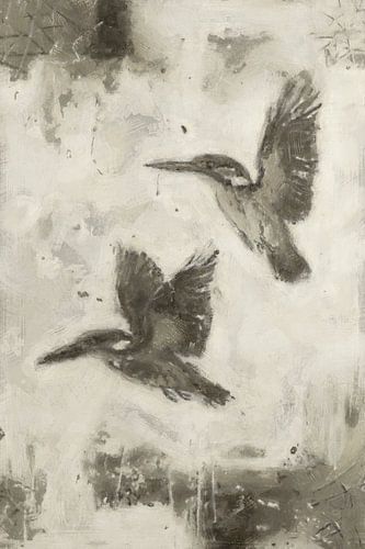 IJsvogels in Vlucht | Taupe