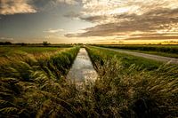Zonsondergang Haagse Beemdenbos