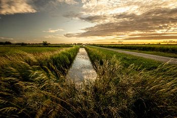 Coucher de soleil La Haye Beemdenbos