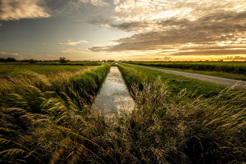 Sunset The Hague Beemdenbos by Cees van Gastel