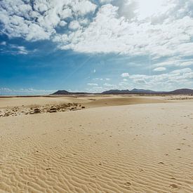 National Park Corralejo(Fuerteventura) by Willem-Jan Smulders