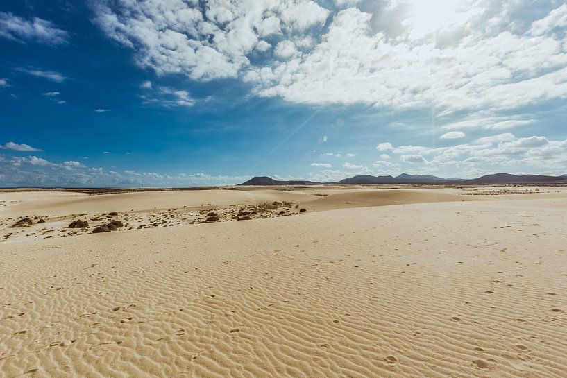 National Park Corralejo(Fuerteventura) by Willem-Jan Smulders