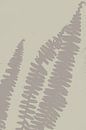 Abstract botanisch. Zomerse varens in taupe en wit. van Dina Dankers thumbnail