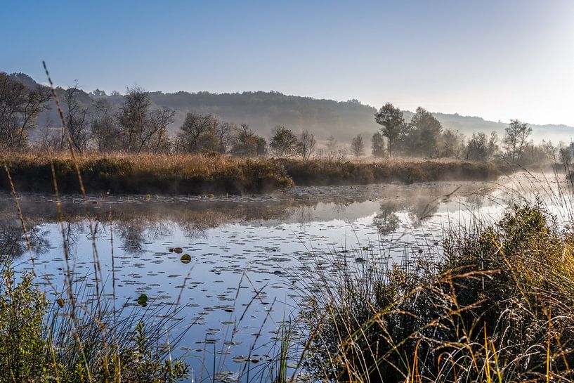 Nationalpark De Meinweg in Limburg - Niederlande von Maurice Meerten