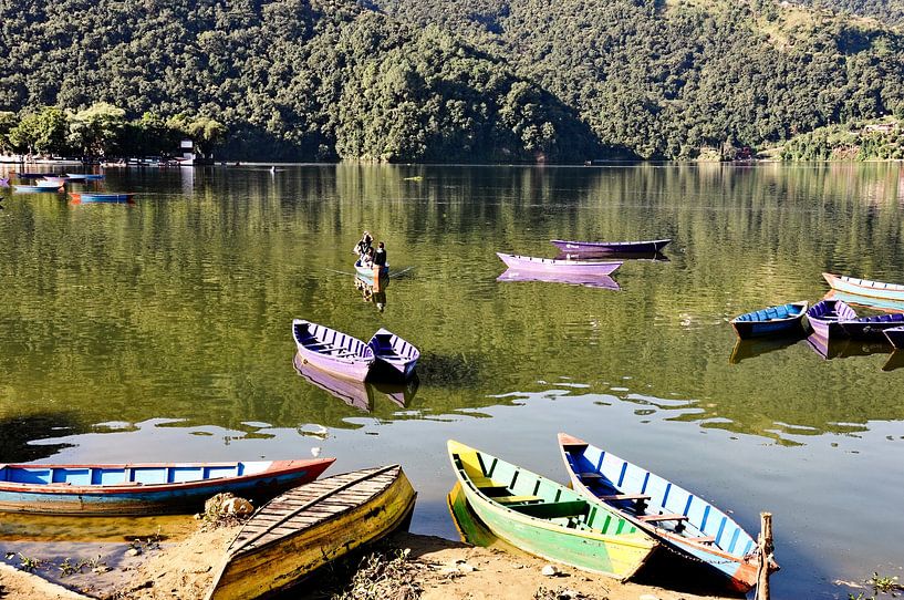 Bunte Boote auf den Gewässern des Phewa-Sees von Frank Photos