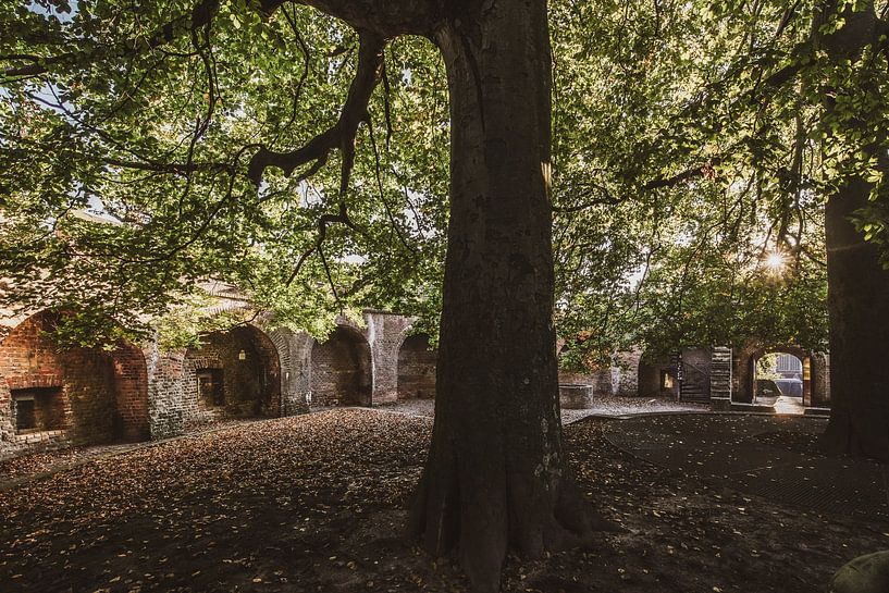 Das Schloss von Leiden von Dirk van Egmond