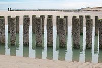 strandpalen