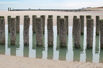 strandpalen von wilma ten Bhömer