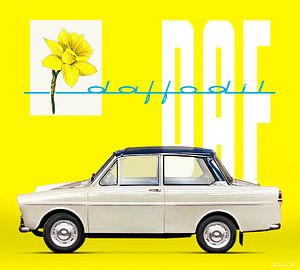 DAF 31 Daffodil Yellow