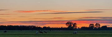 Zonsondergang in juli van Stephan Neven