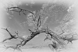 Sculpture de Mère Nature