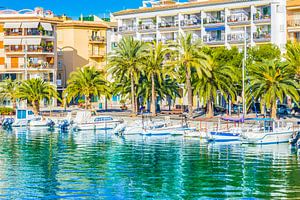 Bateaux mouillant dans le port d'Alcudia à Majorque