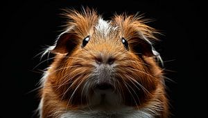 Guinea pig portrait panorama