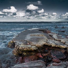 Platform to freedom von Sander Witsenburg