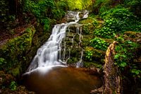 Nationalpark Saja Besaya, Nordspanien