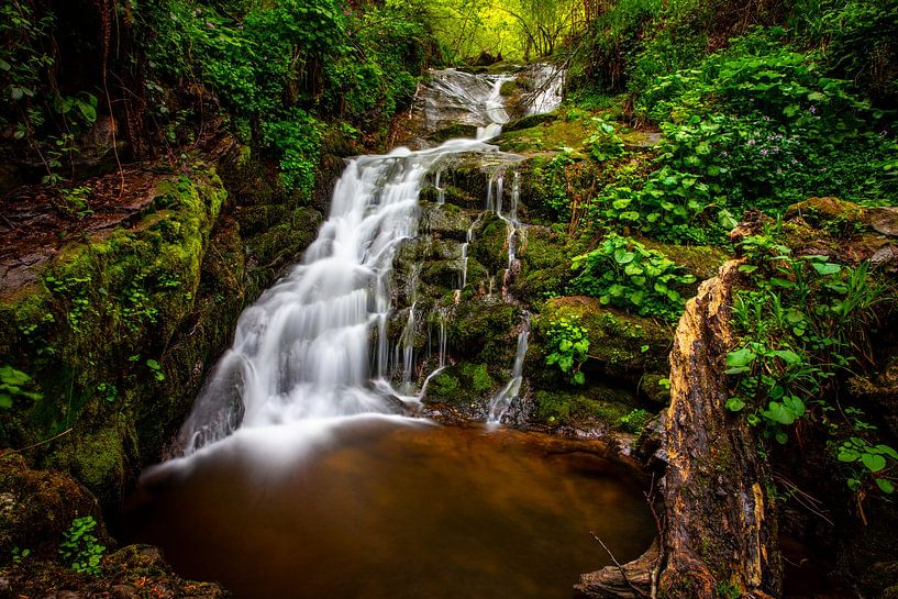 Parc national de Saja Besaya, nord de l'Espagne par Winne Köhn