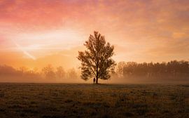 Sonnenaufgang von Andreas Vanhoutte