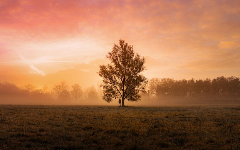 Sunrise by Andreas Vanhoutte
