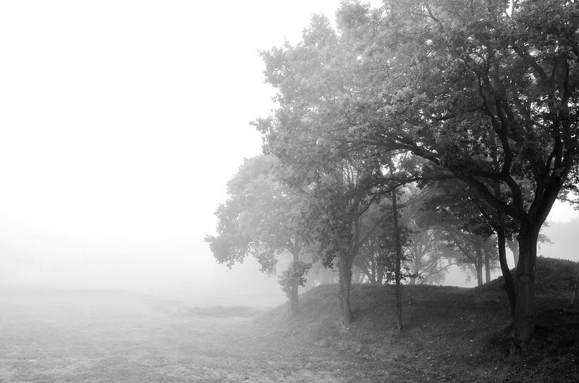 bomen in de mist  by Ilja Kalle