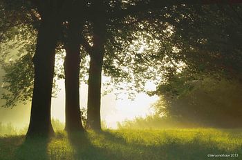 - Magischer Sonnenaufgang - 