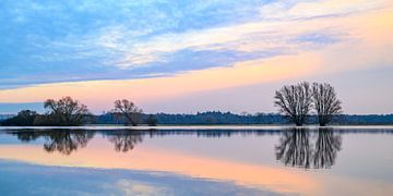 Overstroming van de IJssel met hoge waterstanden in de uiterwaarden