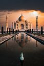 Taj Mahal in the early morning light by Paula Romein thumbnail